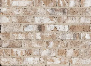 Overland - Tarkine (Rugged Collection) by Daniel Robertson, a Bricks for sale on Style Sourcebook