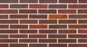 Bowral 50 - Renovation Gertrudis Brown by Bowral Bricks, a Bricks for sale on Style Sourcebook