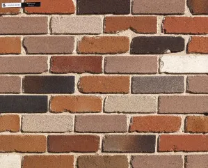 Bowral Remastered - Gibraltar by Bowral Bricks, a Bricks for sale on Style Sourcebook