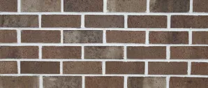 Forest - Penola by Austral Bricks, a Bricks for sale on Style Sourcebook