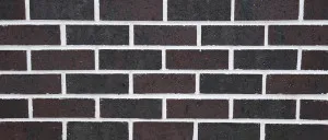 Forest - Black Forest by Austral Bricks, a Bricks for sale on Style Sourcebook