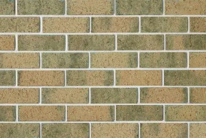 Domain - Oasis by Austral Bricks, a Bricks for sale on Style Sourcebook