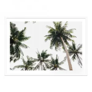 Tropical Sky Framed Print  - 120cm x 86cm by null, a Prints for sale on Style Sourcebook