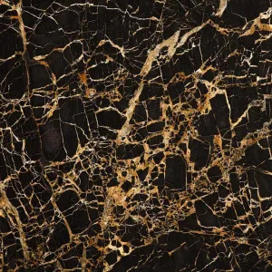 Black & Gold Marble by CDK Stone, a Marble for sale on Style Sourcebook