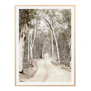 Bushland Track Print  - 85cm x 114cm by null, a Prints for sale on Style Sourcebook
