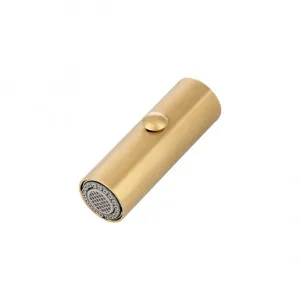 Commercial Pull-Out Spray Attachment - Brushed Brass by ABI Interiors Pty Ltd, a Laundry Taps for sale on Style Sourcebook