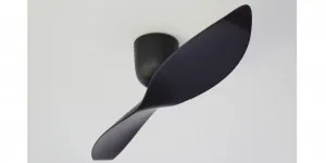 2 Blade 50" Aeratron AE2+ DC Ceiling Fan With Remote Black by Aeratron, a Ceiling Fans for sale on Style Sourcebook