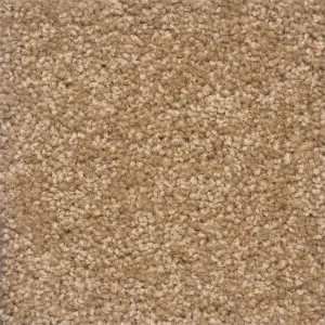 Castilla - Mora by Bremworth Aspire Collection, a Twist for sale on Style Sourcebook