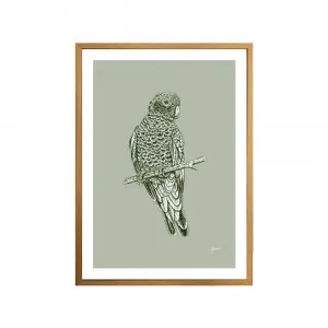 Galah Australian Bird in Willow Green Fine Art Print | FRAMED Tasmanian Oak Boxed Frame A3 (29.7cm x 42cm) by Luxe Mirrors, a Artwork & Wall Decor for sale on Style Sourcebook