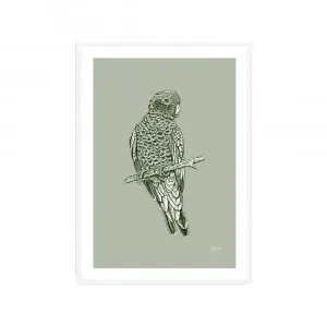 Galah Australian Bird in Willow Green Fine Art Print | FRAMED White Boxed Frame A3 (29.7cm x 42cm) by Luxe Mirrors, a Artwork & Wall Decor for sale on Style Sourcebook