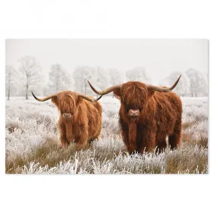 Highland Cows In The Meadow by Gioia Wall Art, a Prints for sale on Style Sourcebook