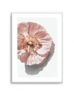 Abstract Poppies III by oliveetoriel.com, a Original Artwork for sale on Style Sourcebook