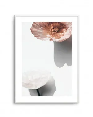 Abstract Poppies IV by oliveetoriel.com, a Original Artwork for sale on Style Sourcebook