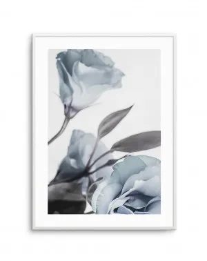 Blue Lisianthus I by oliveetoriel.com, a Original Artwork for sale on Style Sourcebook