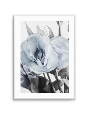 Blue Lisianthus IV by oliveetoriel.com, a Original Artwork for sale on Style Sourcebook