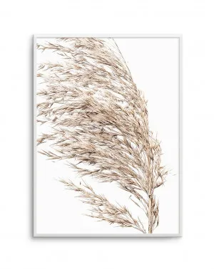 Seagrass II by oliveetoriel.com, a Original Artwork for sale on Style Sourcebook
