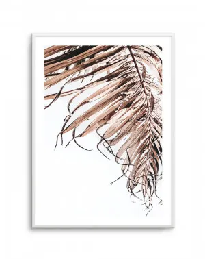Golden Palm II by oliveetoriel.com, a Original Artwork for sale on Style Sourcebook