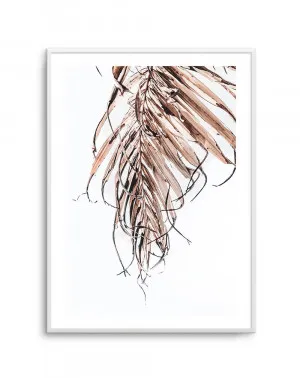 Golden Palm I by oliveetoriel.com, a Original Artwork for sale on Style Sourcebook