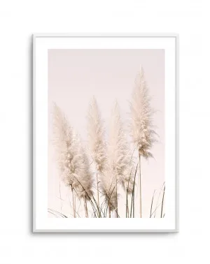 Nude Pampas I by oliveetoriel.com, a Original Artwork for sale on Style Sourcebook