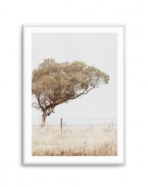 Lost in the Fields by oliveetoriel.com, a Original Artwork for sale on Style Sourcebook