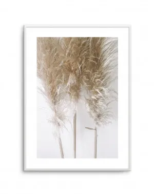 Pampas on Grey I by oliveetoriel.com, a Original Artwork for sale on Style Sourcebook