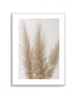 Pampas on Grey II by oliveetoriel.com, a Original Artwork for sale on Style Sourcebook