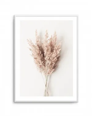 Bundled Beauty by oliveetoriel.com, a Original Artwork for sale on Style Sourcebook