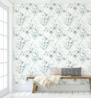 Soft Eucalyptus Wallpaper by oliveetoriel.com, a Wallpaper for sale on Style Sourcebook