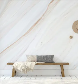 Layers Of Earth Wallpaper by oliveetoriel.com, a Wallpaper for sale on Style Sourcebook