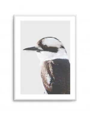 Kookaburra I by oliveetoriel.com, a Prints for sale on Style Sourcebook