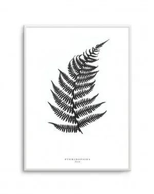Fern by oliveetoriel.com, a Prints for sale on Style Sourcebook