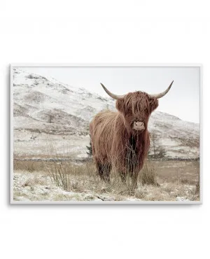 Highlander | LS by oliveetoriel.com, a Prints for sale on Style Sourcebook