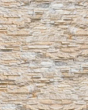 Palm Springs Sandstone Wall Wallpaper by oliveetoriel.com, a Wallpaper for sale on Style Sourcebook