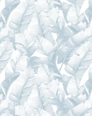 Banana Leaf Palms | Hamptons Blue Wallpaper by oliveetoriel.com, a Wallpaper for sale on Style Sourcebook