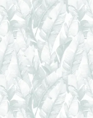 Banana Leaf Palms | Seafoam Wallpaper by oliveetoriel.com, a Wallpaper for sale on Style Sourcebook