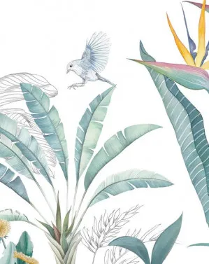 Tropical Adventure Wallpaper Mural by oliveetoriel.com, a Wallpaper for sale on Style Sourcebook