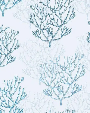 Hamptons Coral Wallpaper by oliveetoriel.com, a Wallpaper for sale on Style Sourcebook