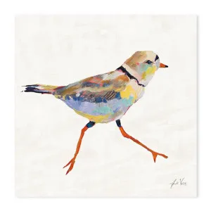 Coastal Plover Linen, Style A by Gioia Wall Art, a Prints for sale on Style Sourcebook