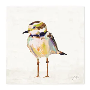 Coastal Plover Linen, Style B by Gioia Wall Art, a Prints for sale on Style Sourcebook