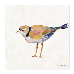 Coastal Plover Linen, Style D by Gioia Wall Art, a Prints for sale on Style Sourcebook
