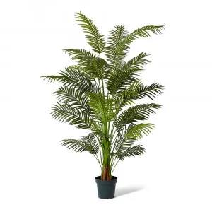 Areca Palm Potted Plant Green - 120cm x 120cm x 213cm by null, a Plants for sale on Style Sourcebook