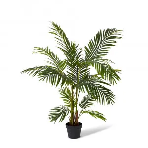 Areca Palm Potted Plant Green - 90cm x 90cm x 120cm by null, a Plants for sale on Style Sourcebook
