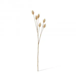 Bunny Tail Spray Beige - 71cm by null, a Plants for sale on Style Sourcebook