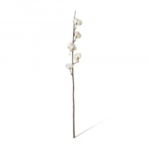 Cotton Stem White/Brown - 15cm x 8cm x 90cm by null, a Plants for sale on Style Sourcebook