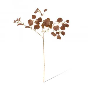 Eucalyptus Decor Brown Spray - 25cm x 12cm x 67cm by null, a Plants for sale on Style Sourcebook