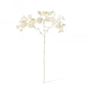 Eucalyptus Decor Cream Spray - 25cm x 12cm x 67cm by null, a Plants for sale on Style Sourcebook