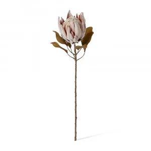 Dried Look King Protea St Light Mauve - 25cm x 25cm x 61cm by null, a Plants for sale on Style Sourcebook