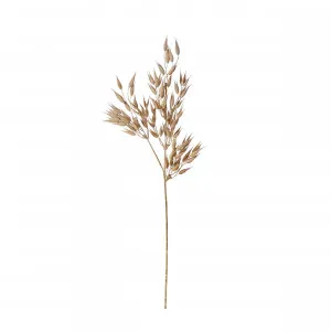 Dried Look Wheat Spray Brown - 64cm by null, a Plants for sale on Style Sourcebook
