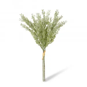 Dusty Miller Bundle Sage - 40cm by null, a Plants for sale on Style Sourcebook
