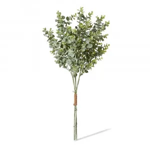 Eucalyptus Bundle Grey/Green - 64cm by null, a Plants for sale on Style Sourcebook